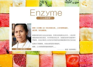 如何尋找耐高溫雙層高硼硅玻璃酵素罐及眼鏡銷售渠道的供應(yīng)商