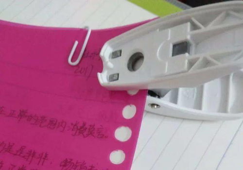 初中生必備神器 文具與生活用品全攻略